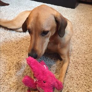 Meet your Posher, Angela